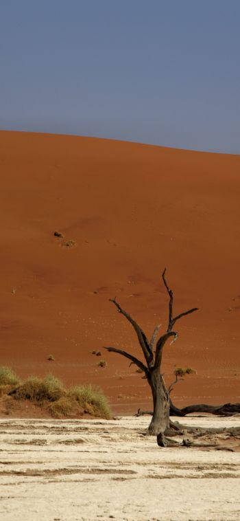 Deadlay, Sossusvlei, Namibia Wallpaper 1080x2340