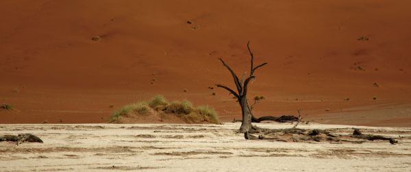 Deadlay, Sossusvlei, Namibia Wallpaper 3440x1440