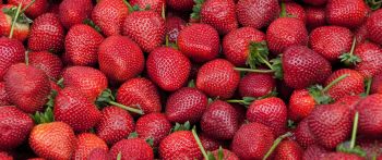 strawberry, berry, red wallpaper Wallpaper 2560x1080