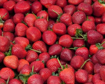 strawberry, berry, red wallpaper Wallpaper 1280x1024