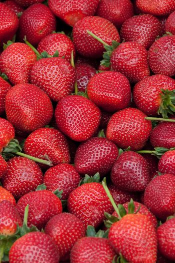 strawberry, berry, red wallpaper Wallpaper 640x960
