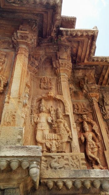 Karnataka, India Wallpaper 750x1334