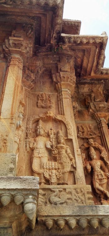Karnataka, India Wallpaper 828x1792