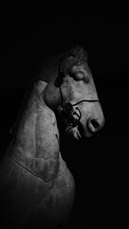 Обои 1440x2560 Британский музей, Лондон, статуя лошади