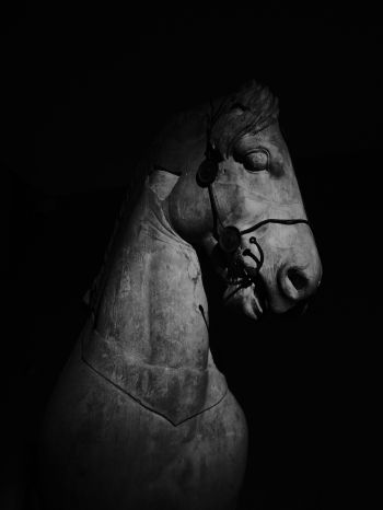 Обои 1620x2160 Британский музей, Лондон, статуя лошади