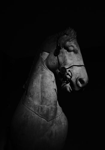 Обои 1668x2388 Британский музей, Лондон, статуя лошади