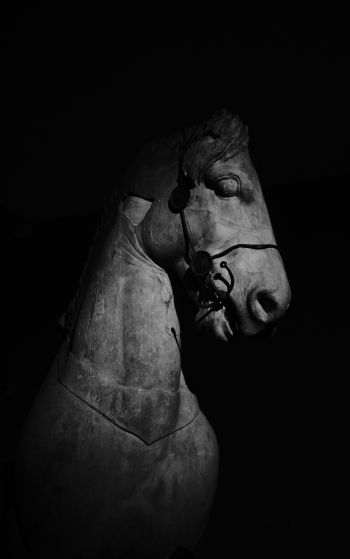 Обои 1752x2800 Британский музей, Лондон, статуя лошади