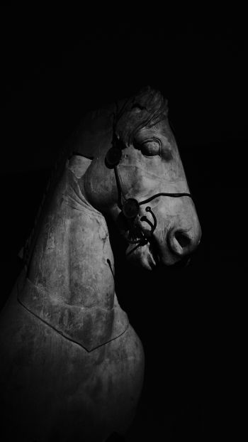 Обои 2160x3840 Британский музей, Лондон, статуя лошади