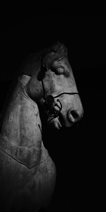 Обои 720x1440 Британский музей, Лондон, статуя лошади