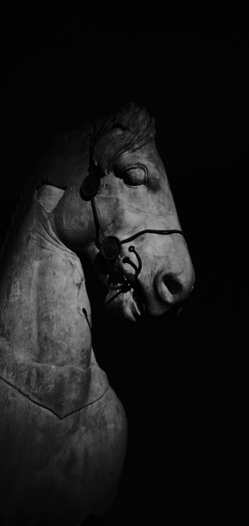 Обои 1440x3040 Британский музей, Лондон, статуя лошади