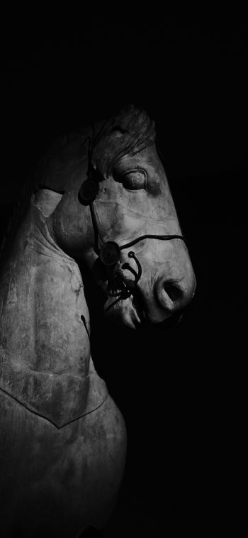 Обои 1080x2340 Британский музей, Лондон, статуя лошади