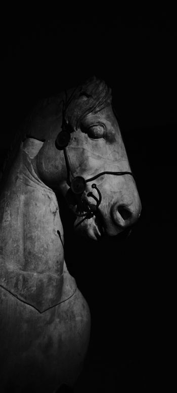 Обои 1440x3200 Британский музей, Лондон, статуя лошади