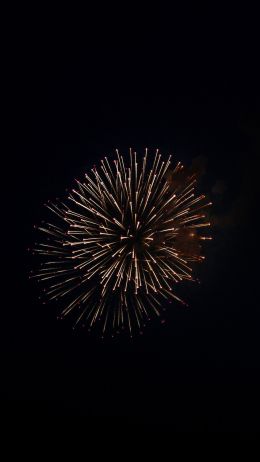 night light, fireworks Wallpaper 1440x2560