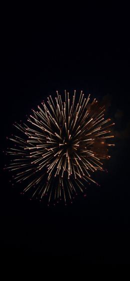 night light, fireworks Wallpaper 1170x2532