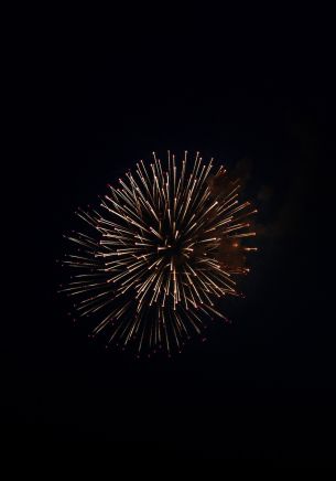 night light, fireworks Wallpaper 1668x2388