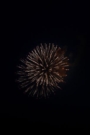 night light, fireworks Wallpaper 2592x3888