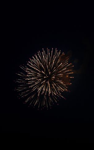 night light, fireworks Wallpaper 1752x2800
