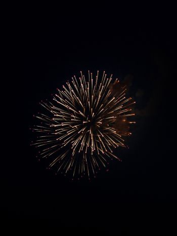 night light, fireworks Wallpaper 1668x2224