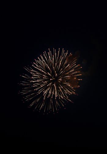 night light, fireworks Wallpaper 1640x2360