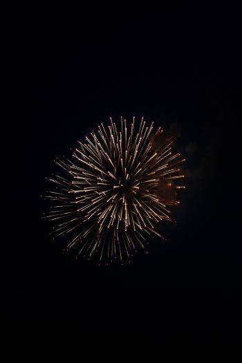 night light, fireworks Wallpaper 640x960