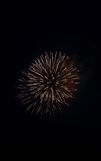 night light, fireworks Wallpaper 1752x2800