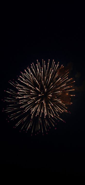 night light, fireworks Wallpaper 828x1792