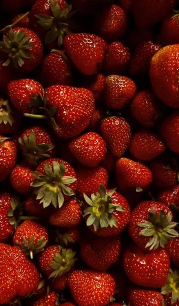 strawberry, berry, red wallpaper Wallpaper 600x1024