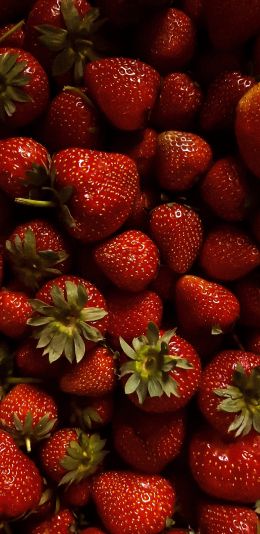 strawberry, berry, red wallpaper Wallpaper 1440x2960