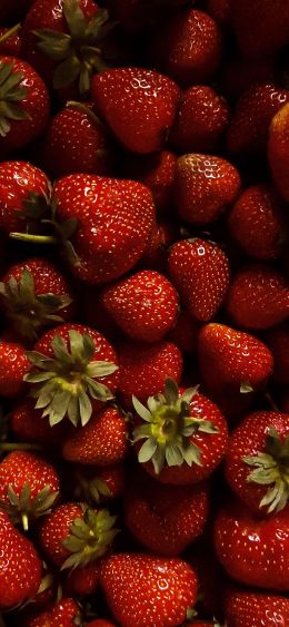 strawberry, berry, red wallpaper Wallpaper 1080x2340