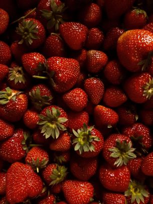 strawberry, berry, red wallpaper Wallpaper 1668x2224
