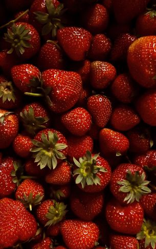 strawberry, berry, red wallpaper Wallpaper 1752x2800