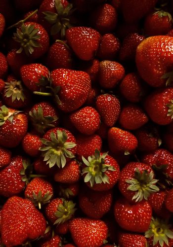 strawberry, berry, red wallpaper Wallpaper 1668x2388