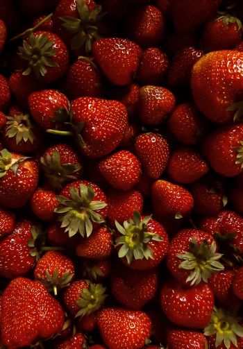 strawberry, berry, red wallpaper Wallpaper 1640x2360
