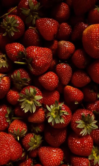 strawberry, berry, red wallpaper Wallpaper 1200x2000