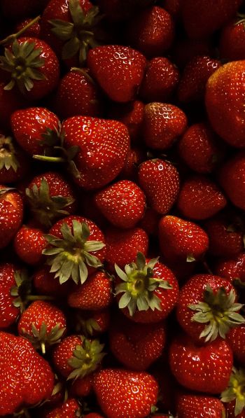 strawberry, berry, red wallpaper Wallpaper 600x1024