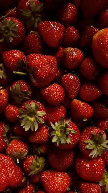strawberry, berry, red wallpaper Wallpaper 640x1136