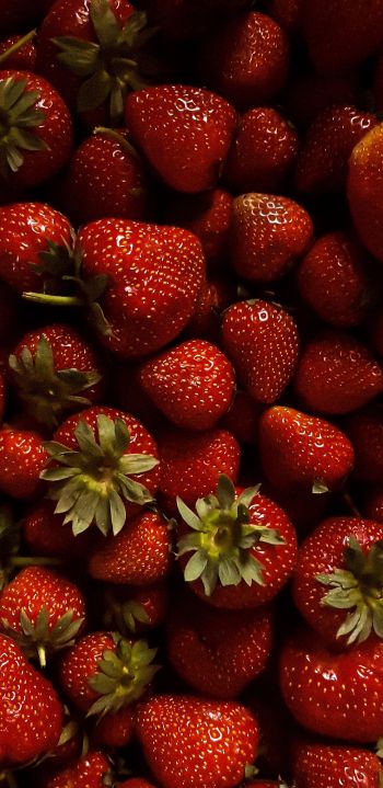 strawberry, berry, red wallpaper Wallpaper 1080x2220