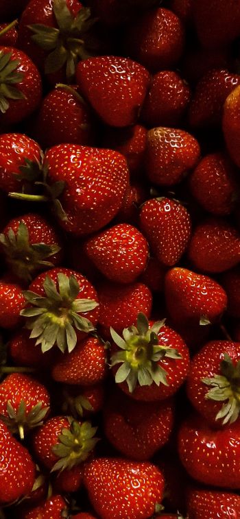 strawberry, berry, red wallpaper Wallpaper 1284x2778