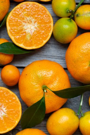 citrus, grapefruit, fruit Wallpaper 640x960