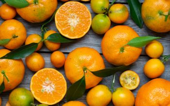 citrus, grapefruit, fruit Wallpaper 2560x1600