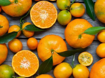 citrus, grapefruit, fruit Wallpaper 1024x768