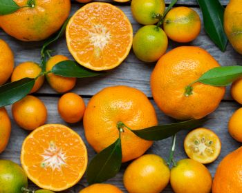 citrus, grapefruit, fruit Wallpaper 1280x1024