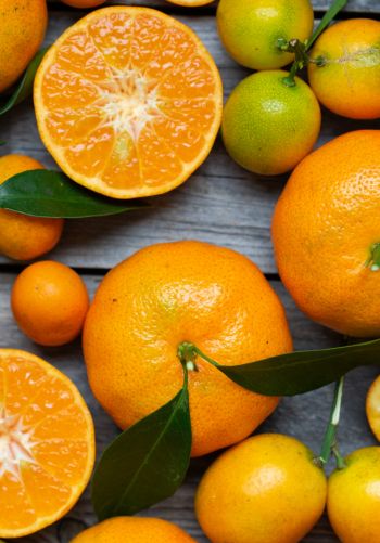 citrus, grapefruit, fruit Wallpaper 1668x2388