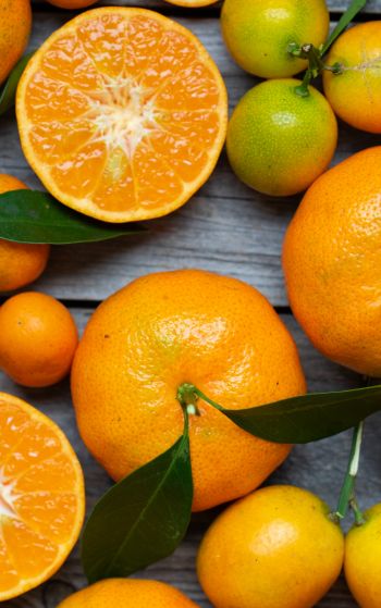 citrus, grapefruit, fruit Wallpaper 1752x2800