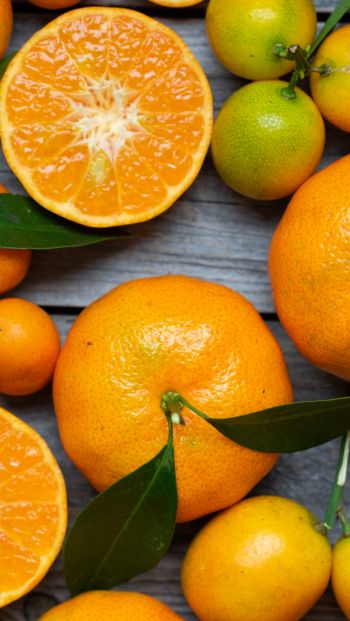 citrus, grapefruit, fruit Wallpaper 640x1136