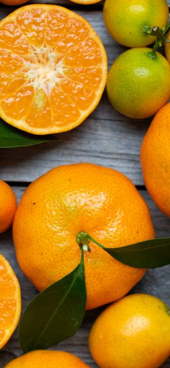 citrus, grapefruit, fruit Wallpaper 1125x2436