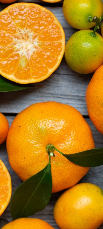 citrus, grapefruit, fruit Wallpaper 1440x3200