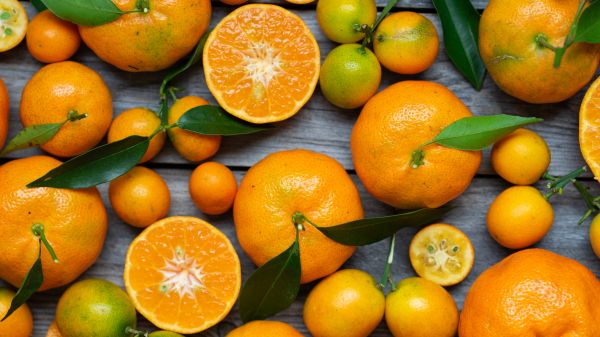 citrus, grapefruit, fruit Wallpaper 6000x3376