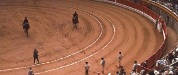 Corrida, horse show Wallpaper 2560x1080