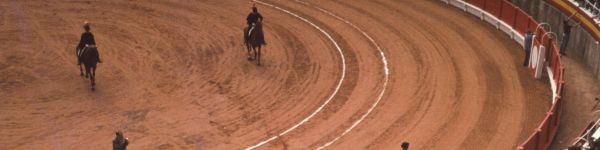 Corrida, horse show Wallpaper 1590x400